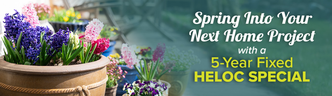 Plant pot with flowers