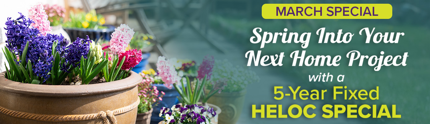 Plant pot with flowers